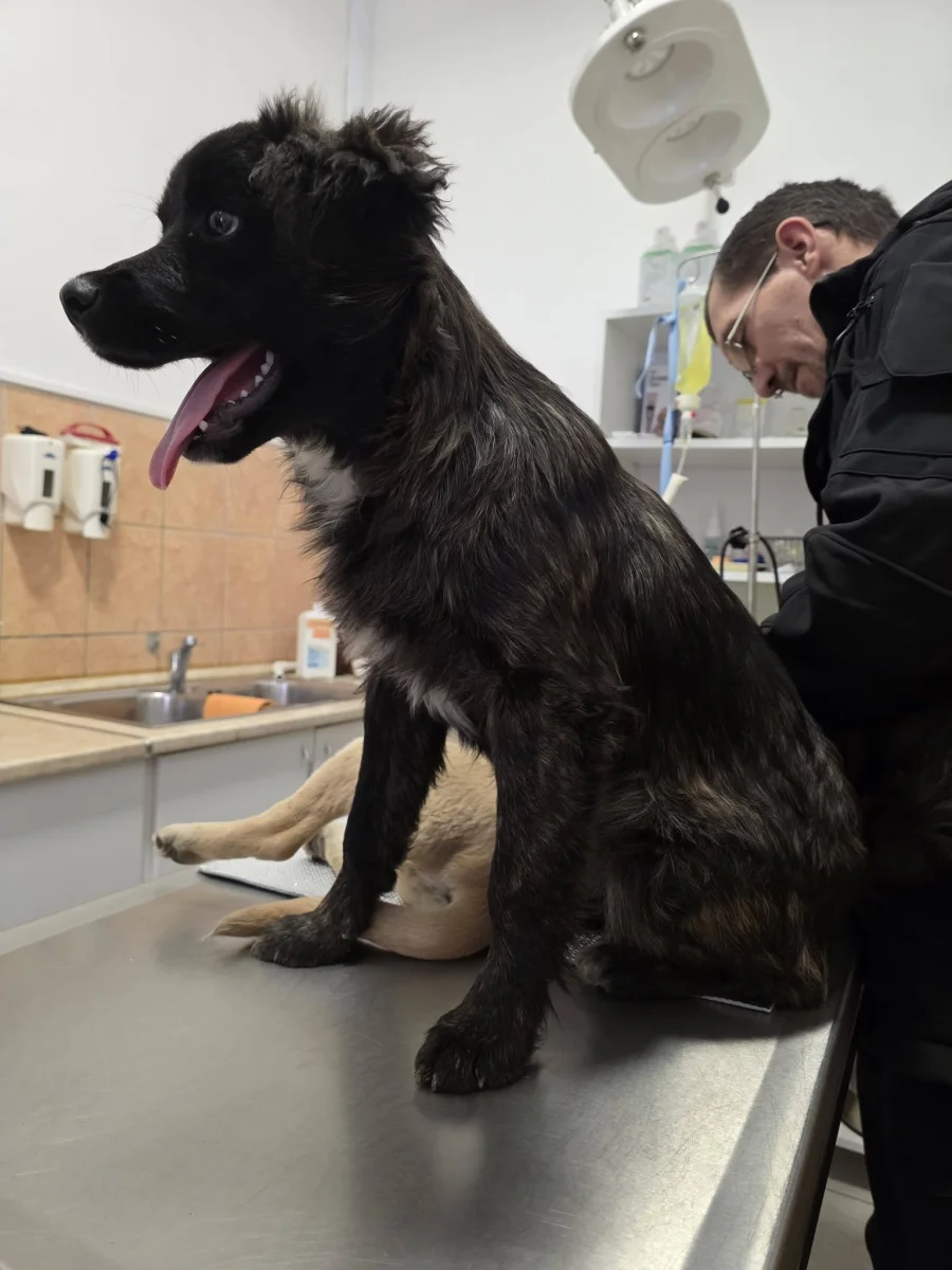 Ma ismét orvosos napunk volt. 🏥🐾