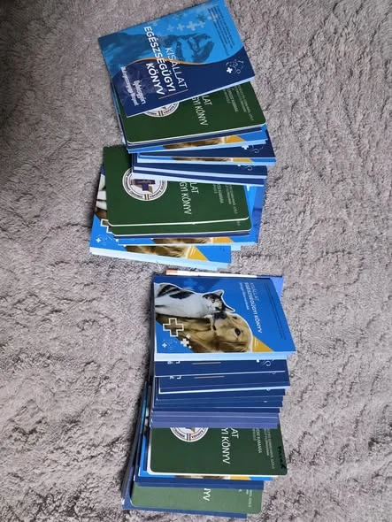 Sajnos az elmúlt napokban nem volt időnk posztolni…